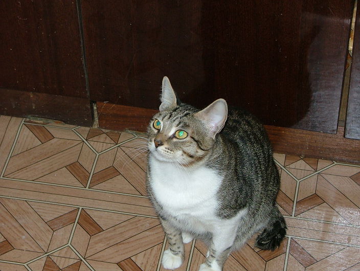 Личные фото