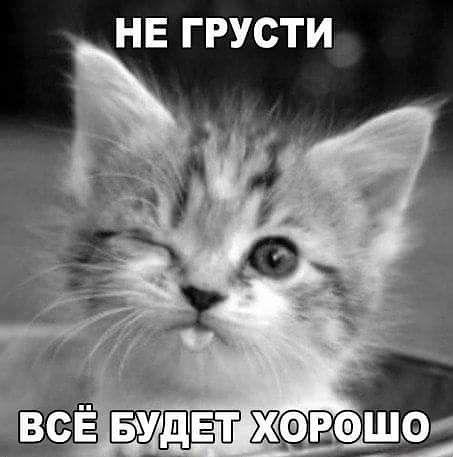 Да:))) Я такой:)))