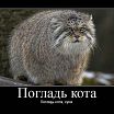 ывгаш