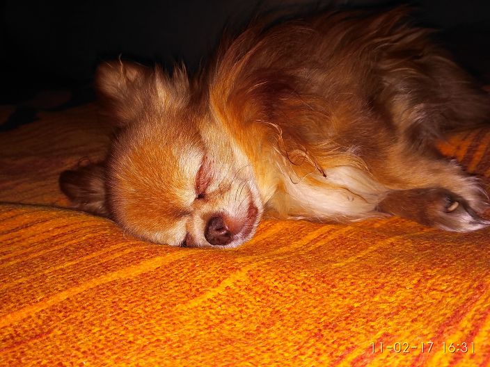 Тише я отдыхаю