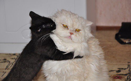 Личные фото