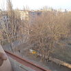 Секс день