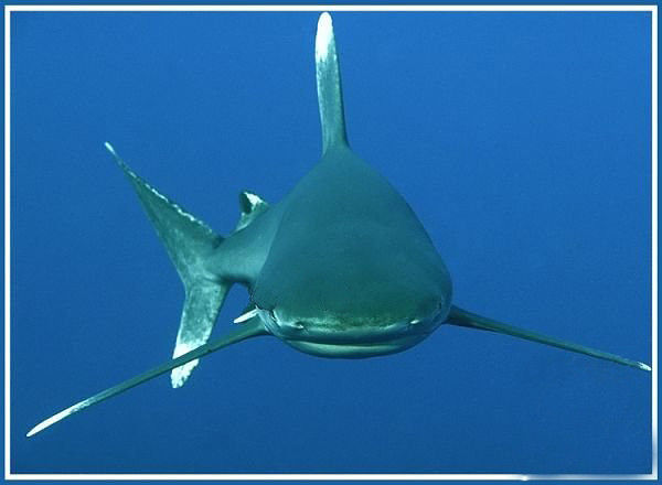 Мои старые фото