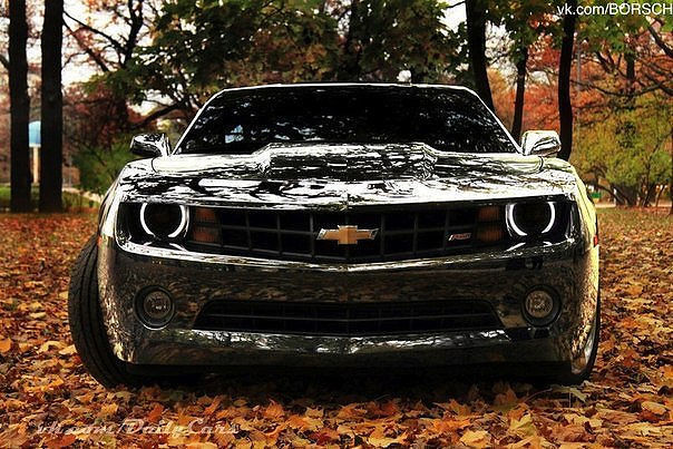 Авто