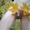 Нагая осень: листва на талии