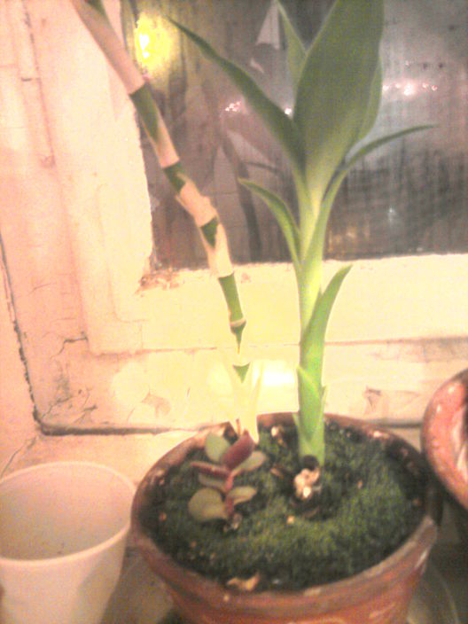 Личные фото