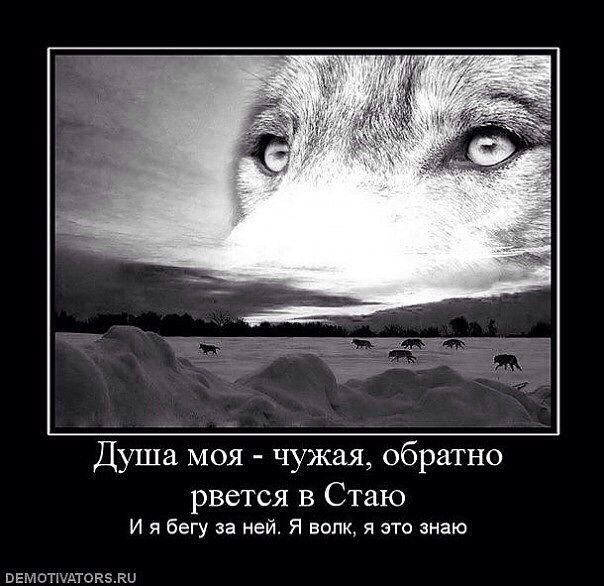 душа