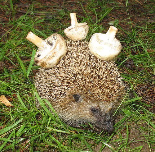 Личные фото