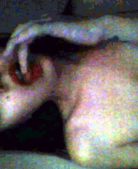 gxnjatrsn