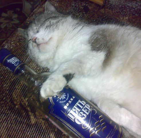 Личные фото