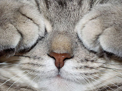 Личные фото