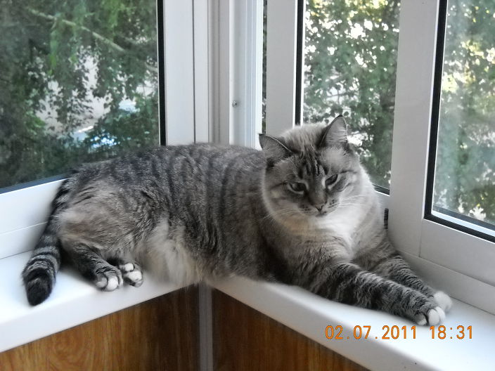 Личные фото