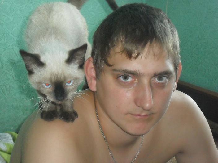 Проивет