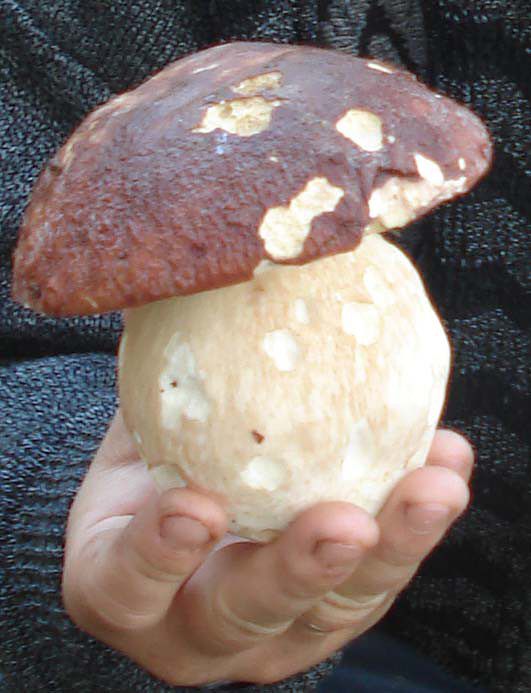 Мои старые фото