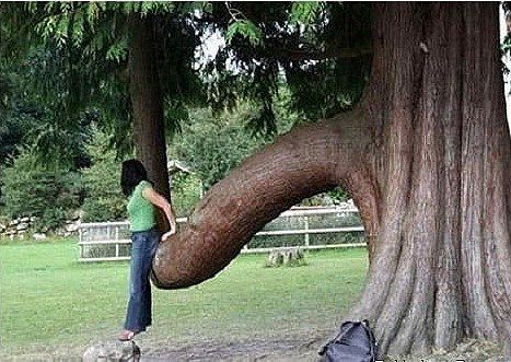 у мя такой, кому надо обратитесь