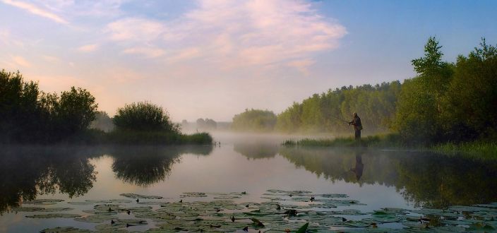 красота