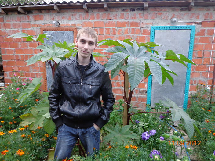 ))))