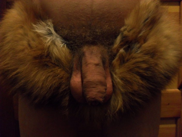 Новогоднее фото 6