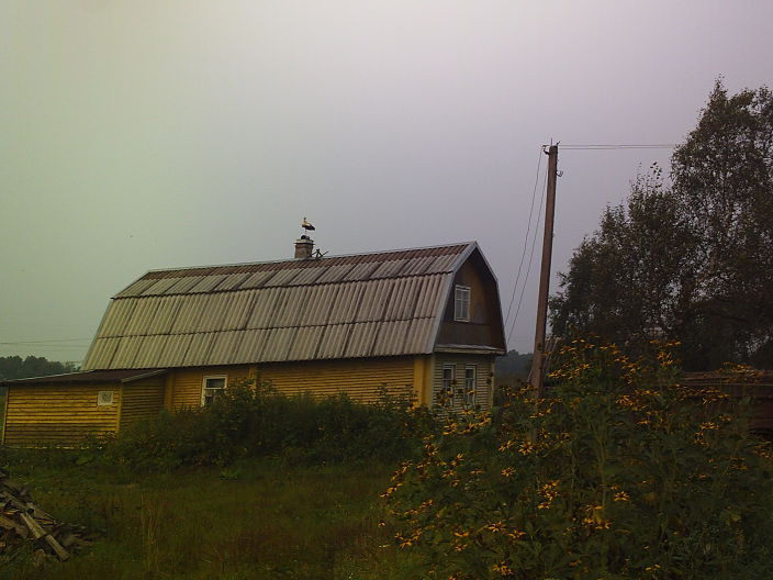 Личные фото