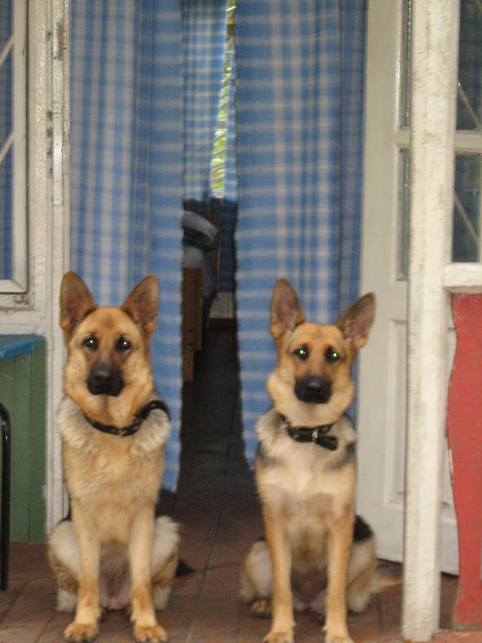 Личные фото