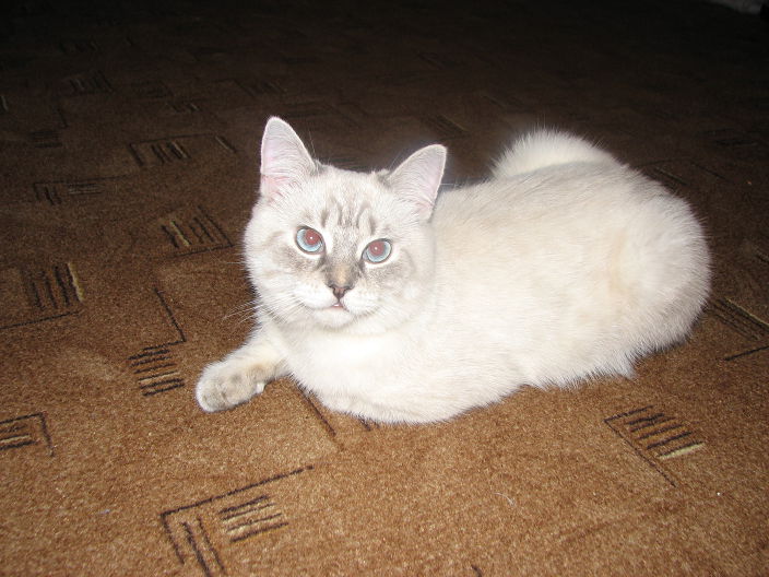 Личные фото