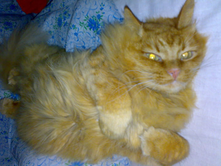 Личные фото