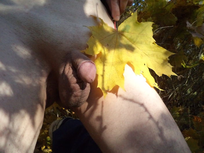 Нагота, осень, листва 5
