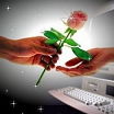 Роза виртуалоьной любви