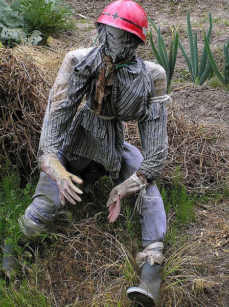 The way I see myself