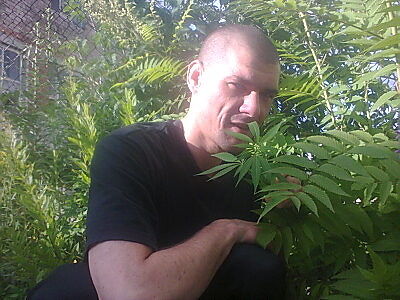 Всем привет