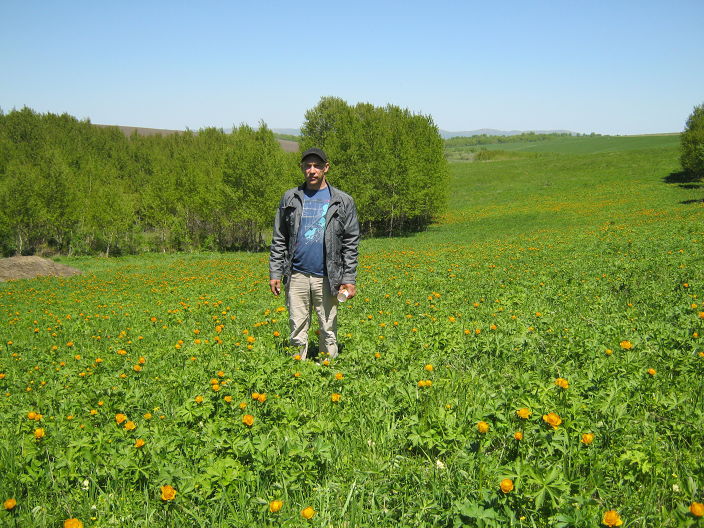 за жарками