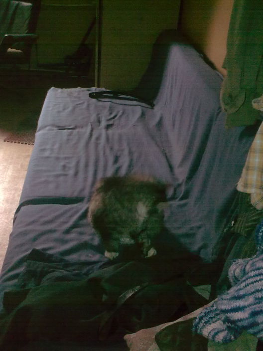 Личные фото