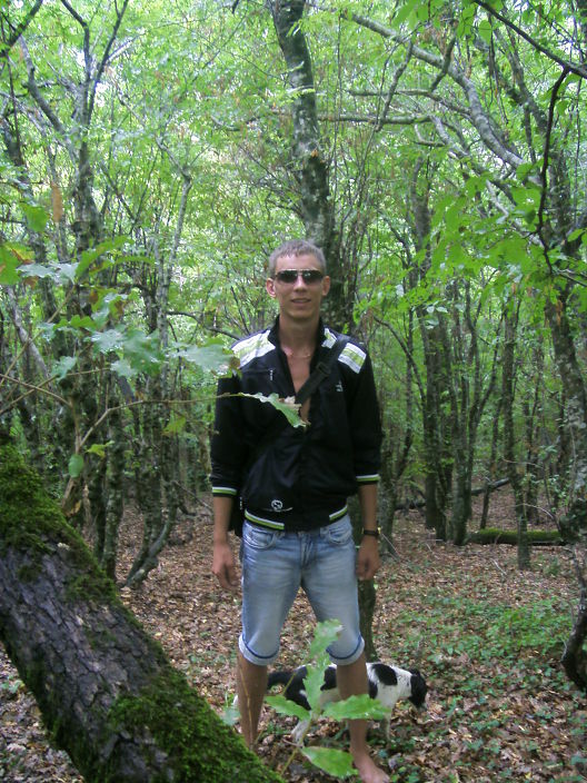 гора, лес и я один