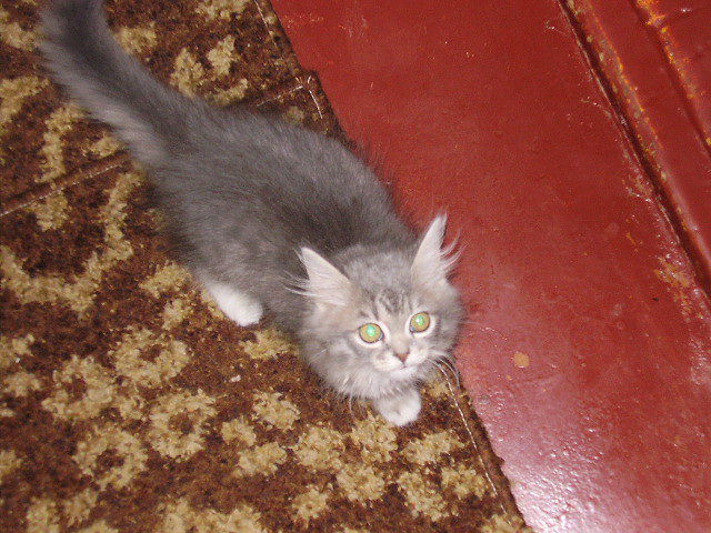 Личные фото