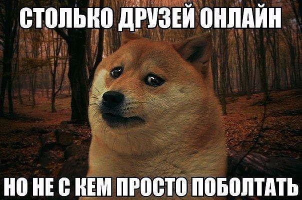 друзья