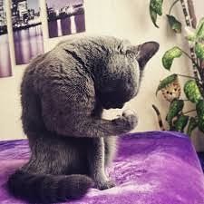 2222