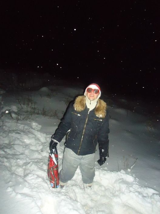 новый год в лесу