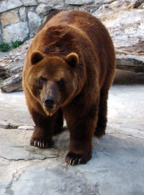 яяяяяяяяяяяяя