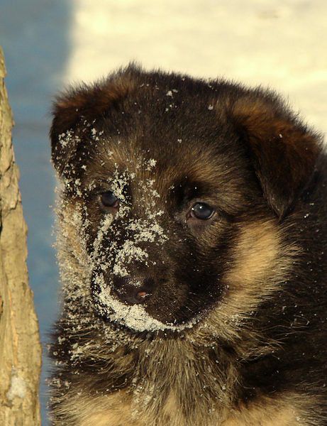 Личные фото