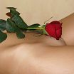 Shave pussy with a rose