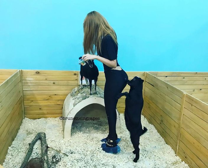 Личные фото