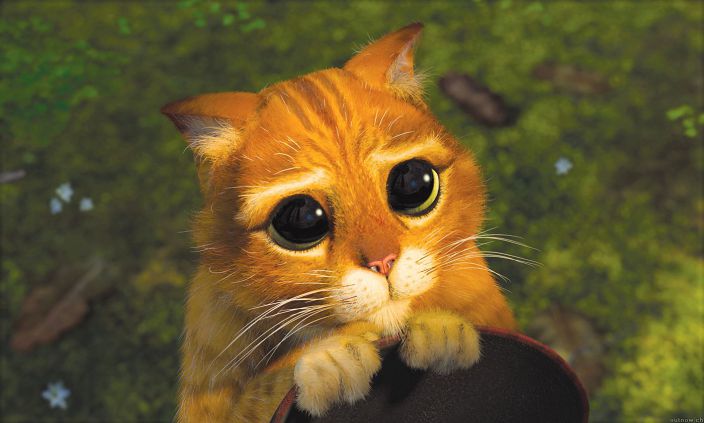 Личные фото