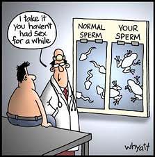 at the doc