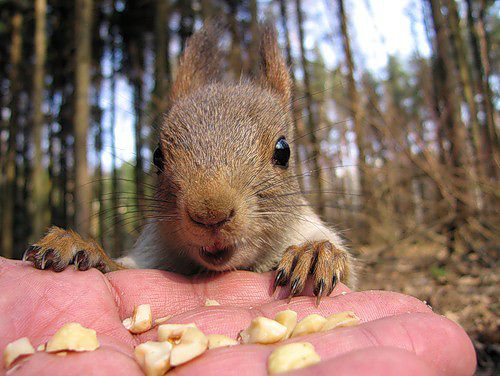 Личные фото