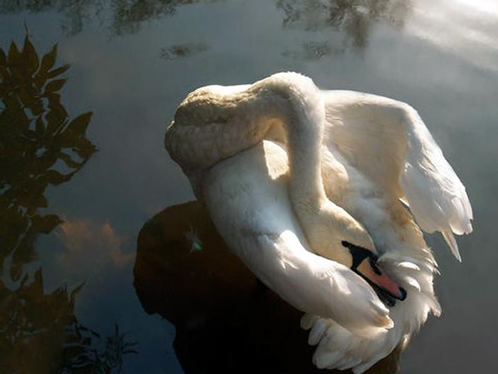 Личные фото