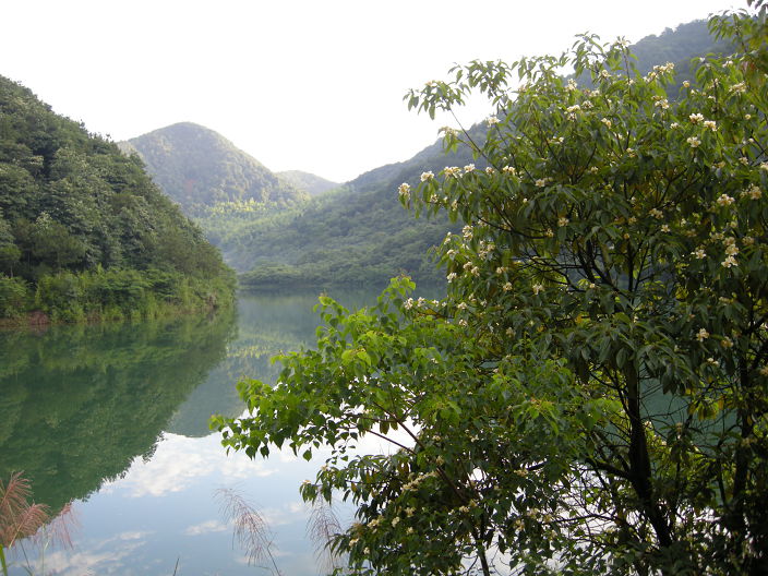 山水有情