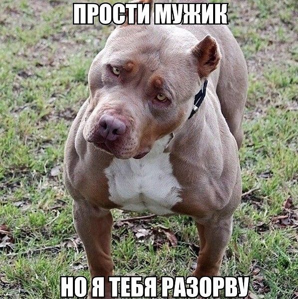 жизнь