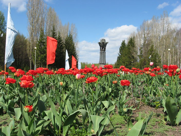 Студгородок