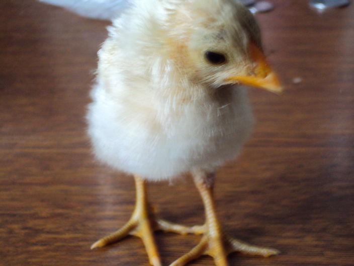 8888