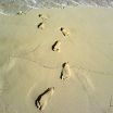 footsteps :)